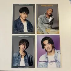 ECHOES OF DUALITY フォトカード