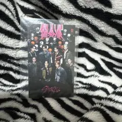 StrayKids トレカ 樂 STAR ラキドロ HMV 集合