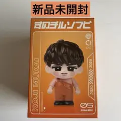 Snow Man 向井康二 すのチルソフビ【新品未開封】Dome Tour ON