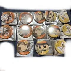 家庭教師ヒットマンREBORNラッキー缶バッジOX 沢田綱吉 ×7リボーン×6