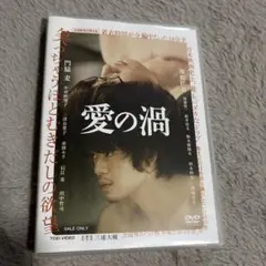 愛の渦　DVD 池松壮亮・門脇麦