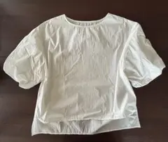 ホワイト 半袖シャツ フリーサイズ