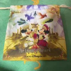 ディズニー　レジェンドオブミシカ　巾着　ファンダフルディズニー