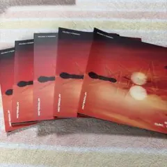 txt AFTERGLOW ５形態 トレカ