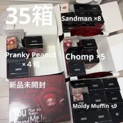POPMART SKULLPANDA You Found Me!35箱まとめ売り