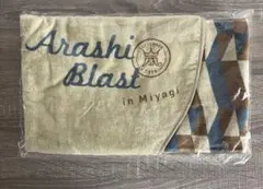 Item thumbnail for item 07a87907-8712-4bcd-adf7-6c8c53917695