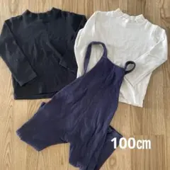 長袖カットソー2枚とオーバーオールセット 100cm