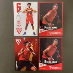 Item thumbnail for item 61e7173e-1f39-4c89-bc7b-12d5308729f8