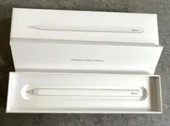美品　正常動作確認　Apple Pencil 第2世代 アップルペンシル