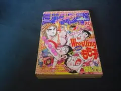 昭和54年 少年ジャンプ 11月25日増刊号 昭和54年◉少年ジャンプ 11月25日増刊号 ※表紙 いずみちゃんSOS ほか