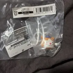 プロ野球マスコット　めじるしアクセサリー　スターマン