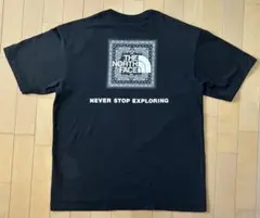 THE NORTH FACE ペイズリー柄 Tシャツ ブラック L
