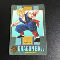 破格】【希少】ドラゴンボールGT カードダス 孫悟空 03 - メルカリ