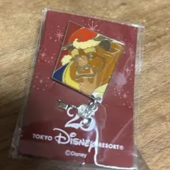 東京ディズニーリゾート 25周年 ピンバッジ