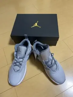 ナイキ　NIKE ジョーダン　ステイロイヤル3 バスケット　26.5