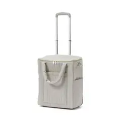 値下げ！新品未使用品！Francfranc ライトグレー キャリーケース 値下げ！新品未使用品！Francfranc ライトグレー キャリーケース