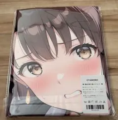 冴えカノ 加藤恵 OTAMONO 美少女キャラクター タオル