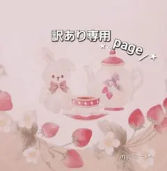 ‪ꪔ̤̫‬✲*゜ 専用