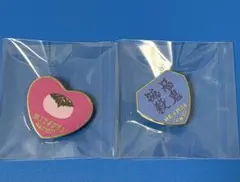 鬼滅の刃　柱展　コレクションピンズ