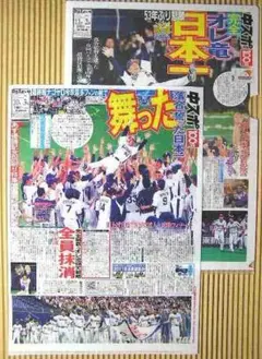 [グッズ] 中日ドラゴンズ クリアファイル2枚 未使用品