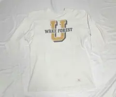 【ビンテージ　70s】チャンピオン　フットボールTシャツ　染み込みプリント