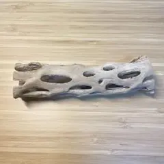 Item thumbnail for item 16bcb392-60bf-4aa7-8d80-c55d348e146e