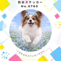 Item thumbnail for item 800868c2-ac63-4f09-8e6e-fed322e84445