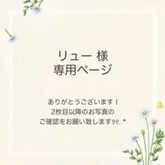リュー様 おまとめ9点