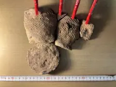 2026年最新】縄文土器 破片の人気アイテム - メルカリ
