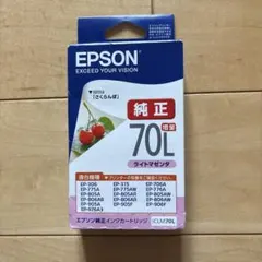EPSON ICLM70Lのサムネイル
