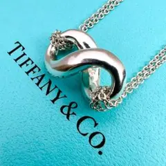 【極美品】TIFFANY ネックレス インフィニティ シルバー ダブルチェーン