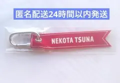 ぶいすぽっ！フェス2025 フライトタグ　猫汰つな8e