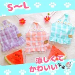 ペット服 S M L パステル ワンピース ドッグウェア 犬の服 犬服 猫服
