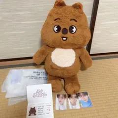 Stray Kids SKZOO PLUSH テディベア Ver. ハ