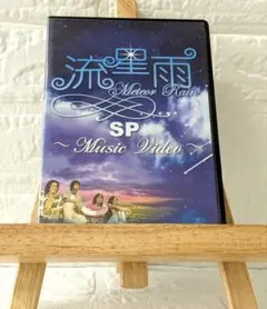 DVD 　流星雨　SP～Music Video～
