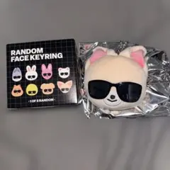 StrayKids RUNIT JAPAN ランダムフェイスキーリング アイエン | Mercari
