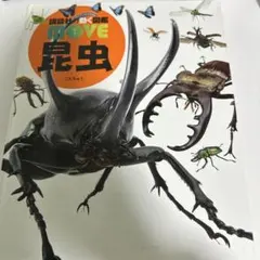 講談社 MOVE 昆虫図鑑（DVDなし）