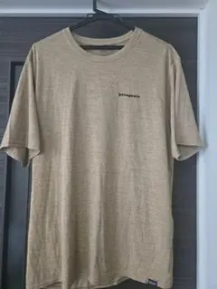 パタゴニア　メンズ・キャプリーンクール・デイリー・グラフィック・シャツ　Lサイズ