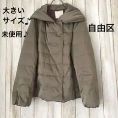 2025年最新】自由区 大きいサイズ ダウンの人気アイテム - メルカリ