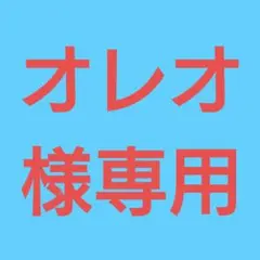 ★(オレオ様専用！)おまとめ購入4点！