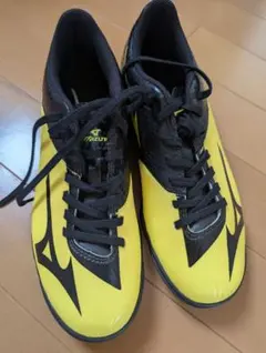 Item thumbnail for item cab694fa-84f8-4e34-979e-3d6f09908824