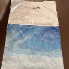 林檎博24 vivision 静岡限定Tシャツ - メルカリ