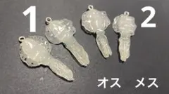 アオリイカ　キーホルダー　オス×メスペア