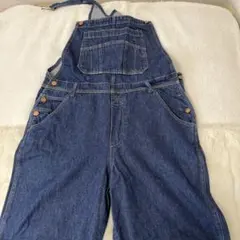 H*T様 フリーホイーラーズ1890sスターウォバッシュストライプ