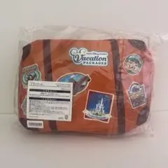 【新品】ディズニーバケーションパッケージ　ブランケット