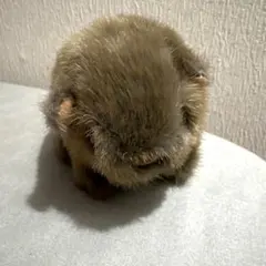 Item thumbnail for item 704fc0be-f0e5-4c1f-be01-07f0565a75b8