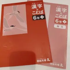 2026年最新】四谷大塚 予習シリーズ 6年 下の人気アイテム - メルカリ