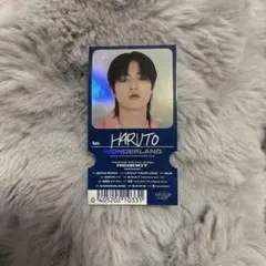 オーロラステッカー　ハルト