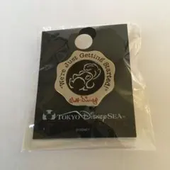 東京ディズニーシー　キャストメンバーエディション　ピンバッジ　キャスト限定