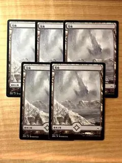 MTG 荒地/Wastes フルアート 日本語版 5枚セットのサムネイル